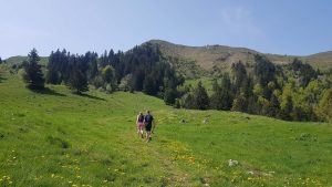 traileurs en forêt